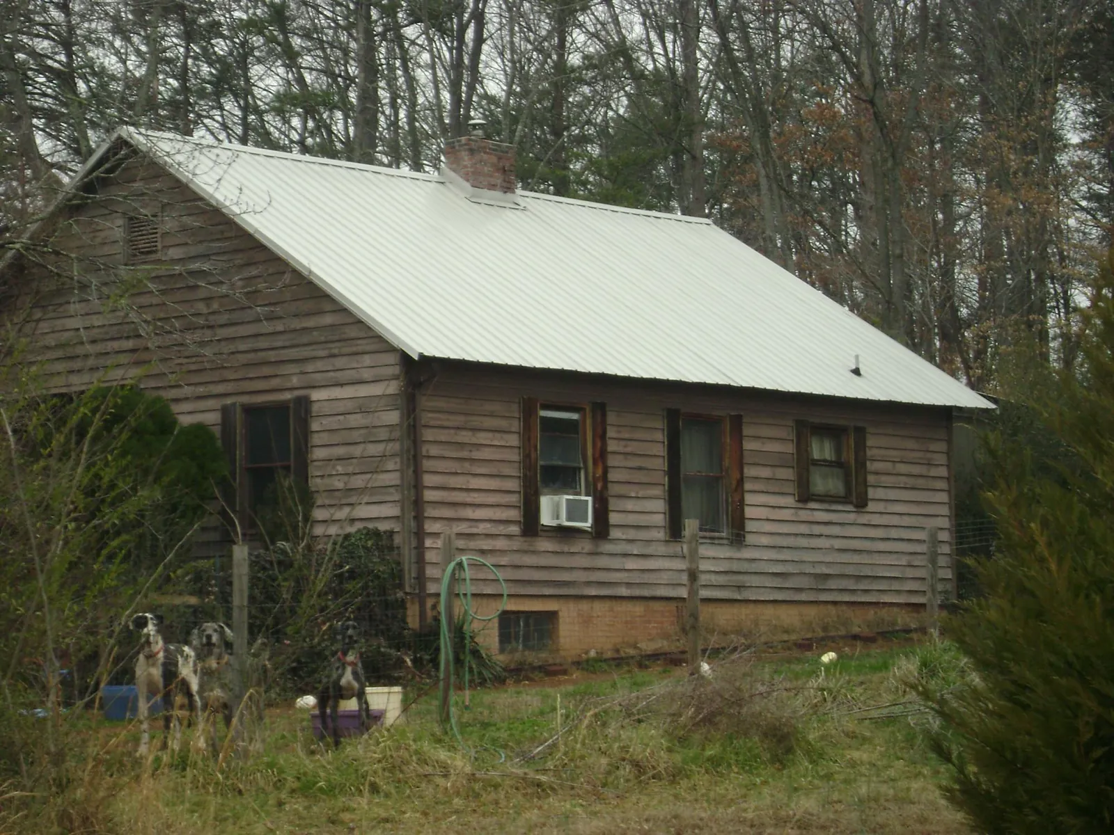 White metal roof on an old wood sided farmhouse, from a Asphalt Shingle Roof Repair job in The Colony